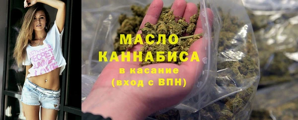 мдпв Вяземский